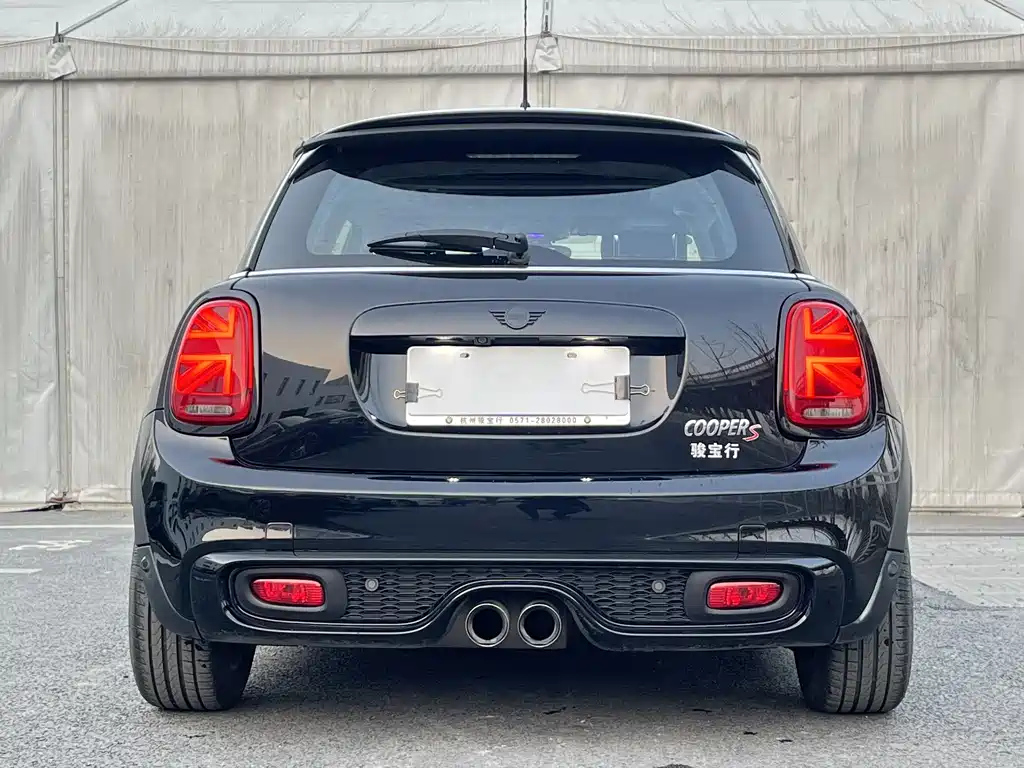 MINI OTHER 2020