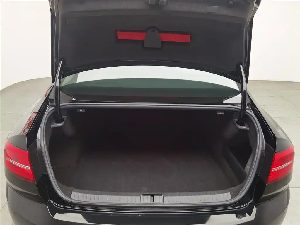 VOLKSWAGEN MAGOTAN 2019