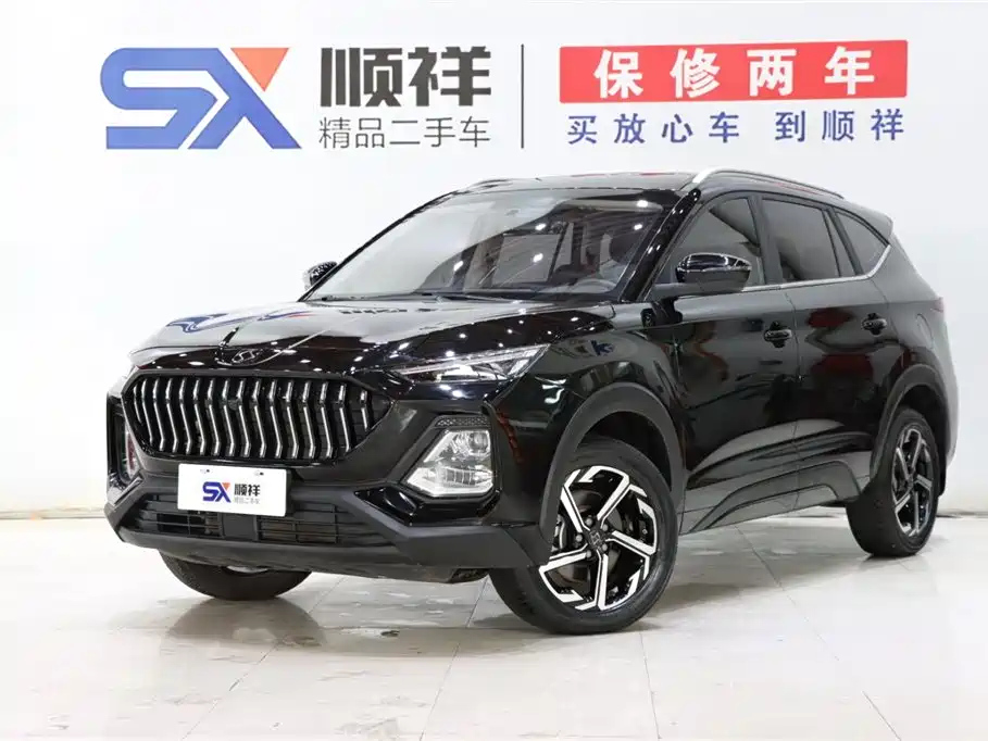 Аукционный лист SOL X8 2021