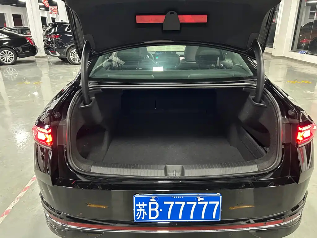 VOLKSWAGEN MAGOTAN 2024