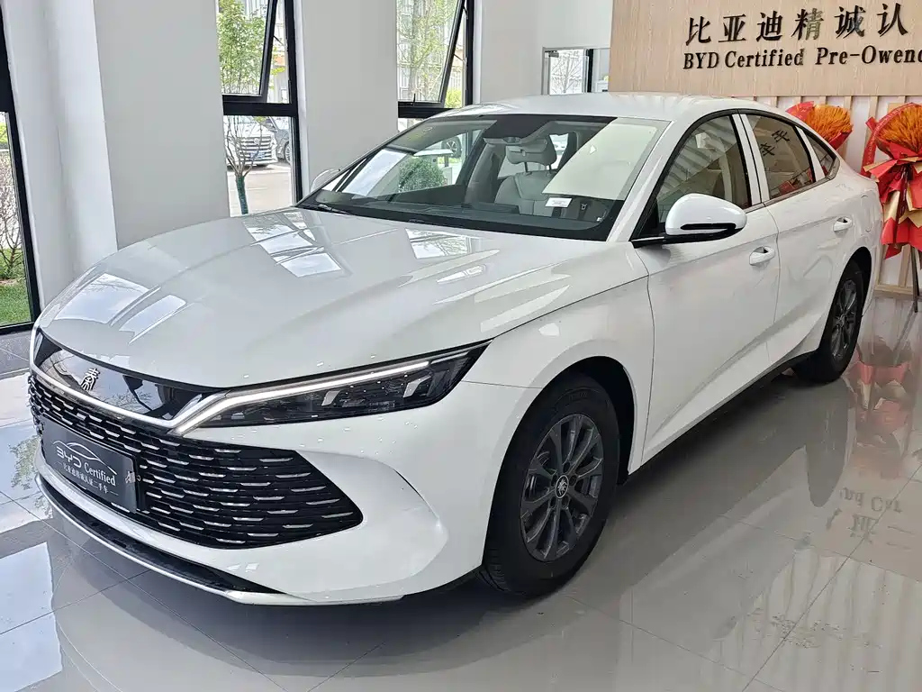 BYD QIN L