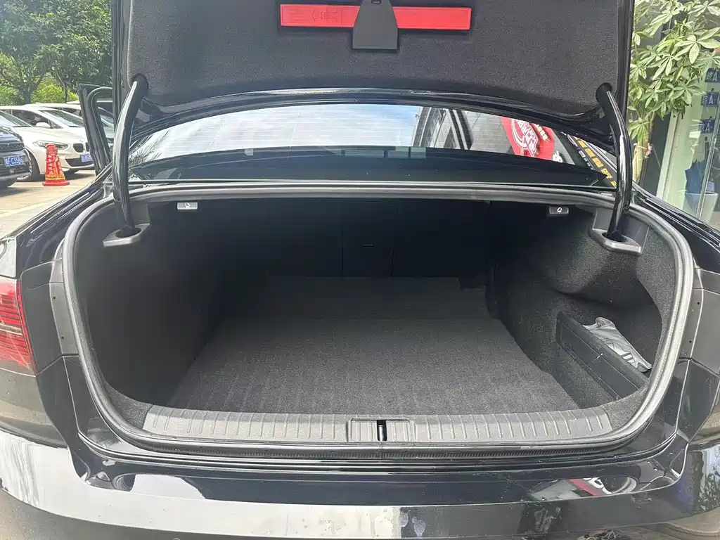 VOLKSWAGEN MAGOTAN 2020