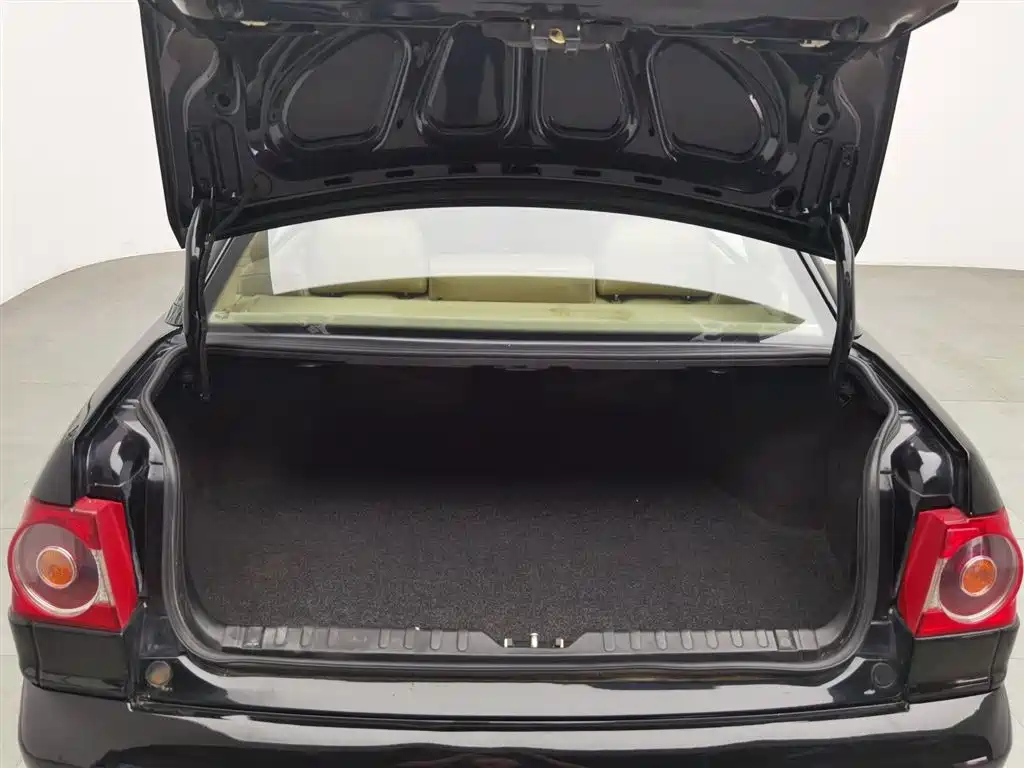 VOLKSWAGEN OTHER 2008