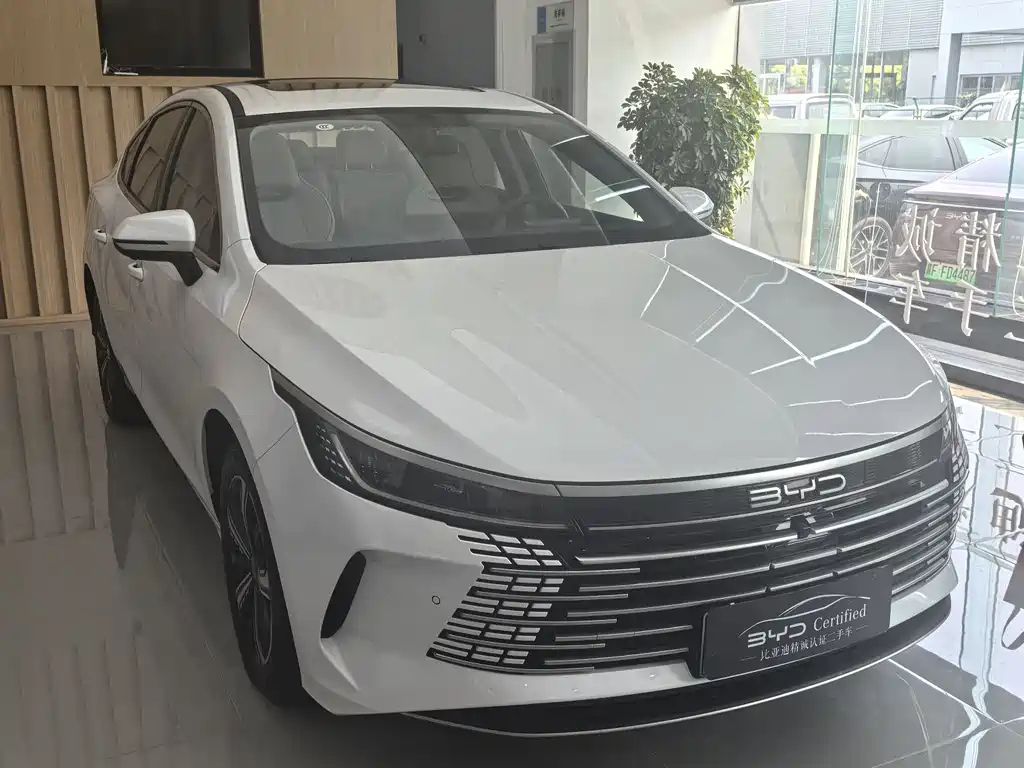 BYD DESTROYER 05 2024