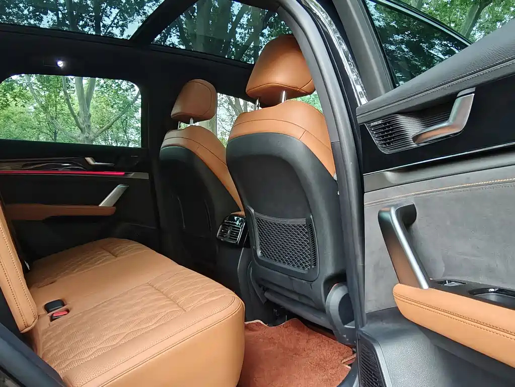 BYD TANG NEW ENERGY 2023