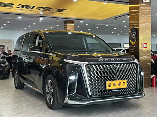 MAXUS OTHER 2023