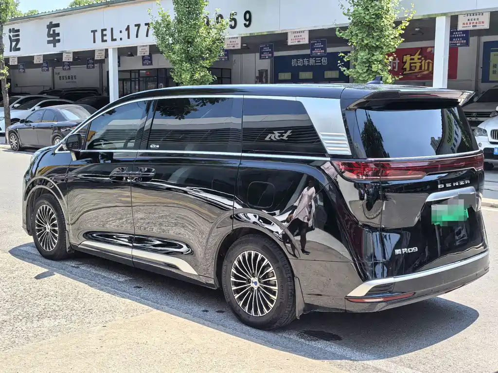 DENZA D9 2022