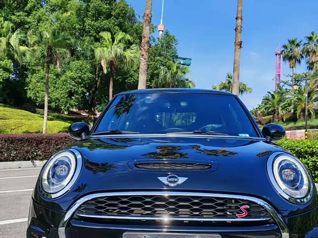 MINI OTHER 2017