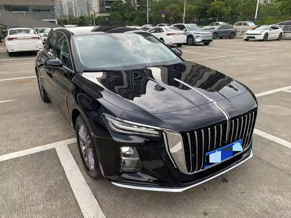 HONGQI H5 2024