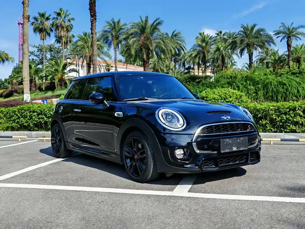MINI OTHER 2017