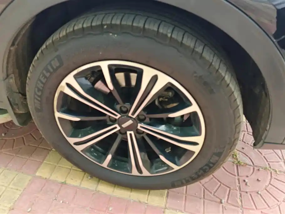 WEY VV6 2021