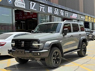 TANK 300 2021 YEAR EDITION 2.0T 2021