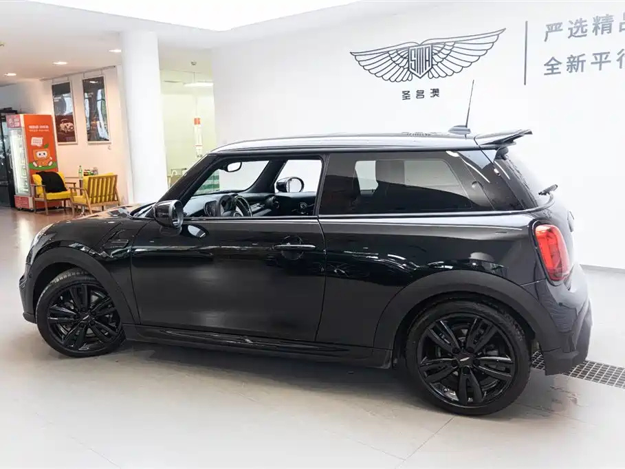 MINI OTHER 2022