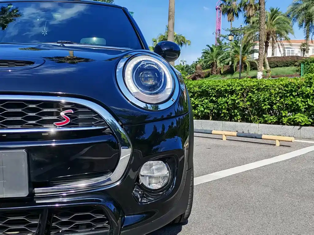 MINI OTHER 2017