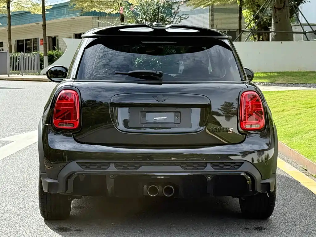 MINI OTHER 2023