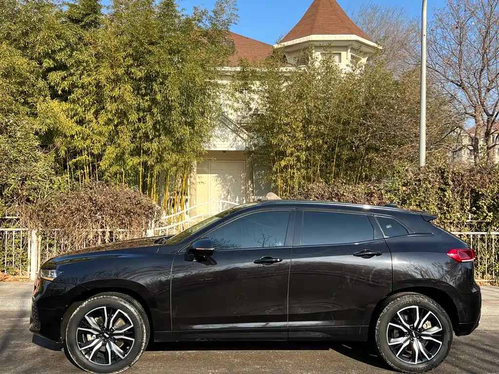 WEY VV7 2019