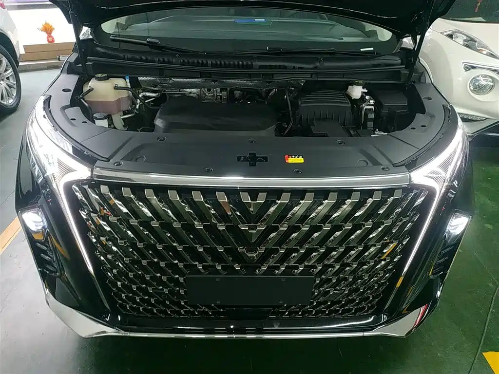 MAXUS OTHER 2024