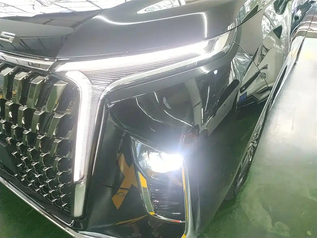 MAXUS OTHER 2024