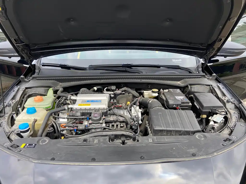 TRUMPCHI EMPOW 2023