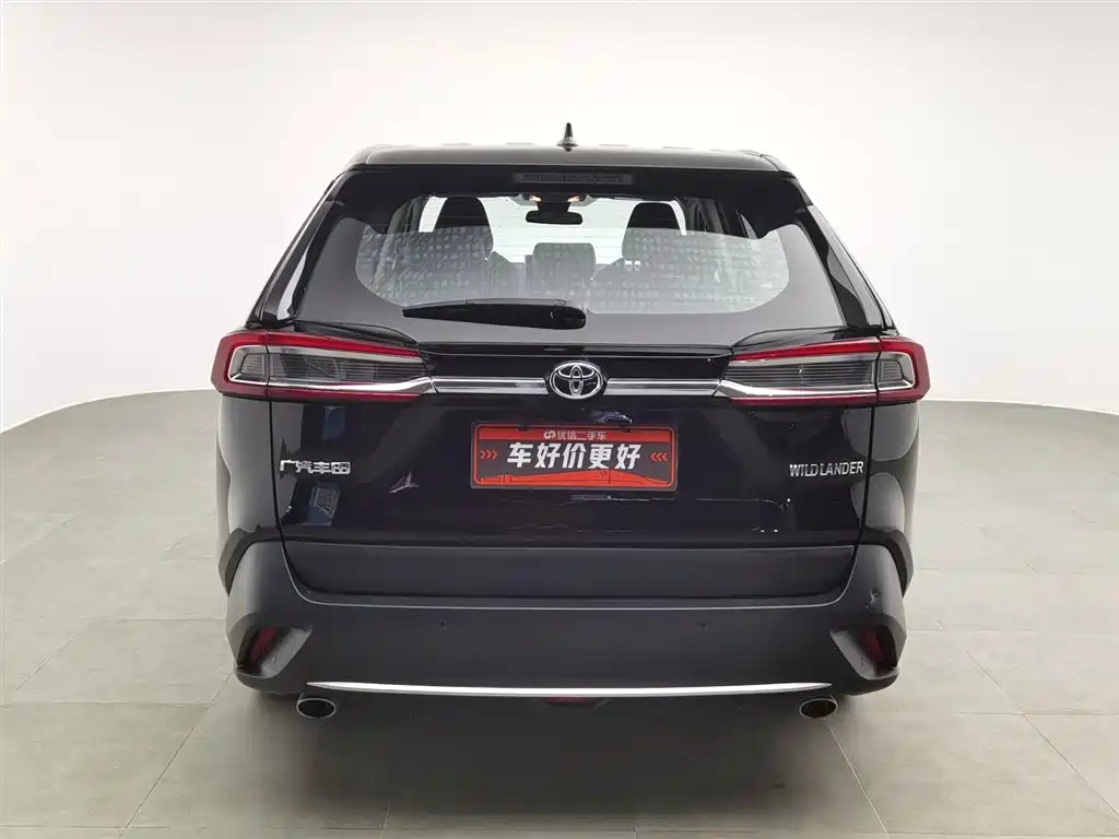 TOYOTA WILDLANDER 2022