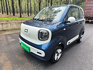 BESTURN PONY  2025