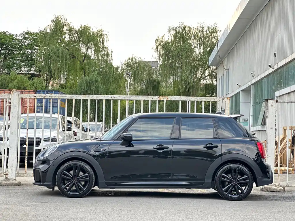 MINI OTHER 2022