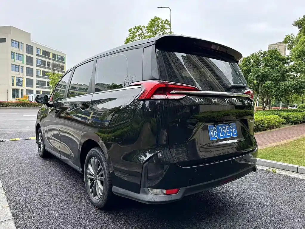 MAXUS OTHER 2019