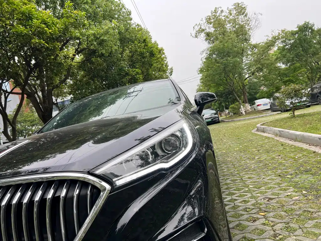 HONGQI H5 2021