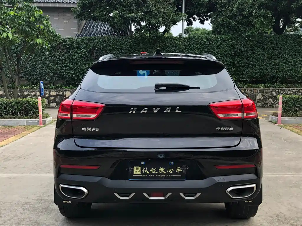 HAVAL F5 2019