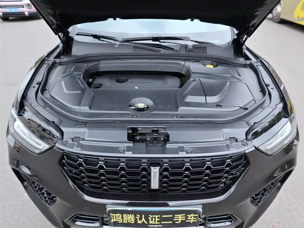 WEY VV5 2019