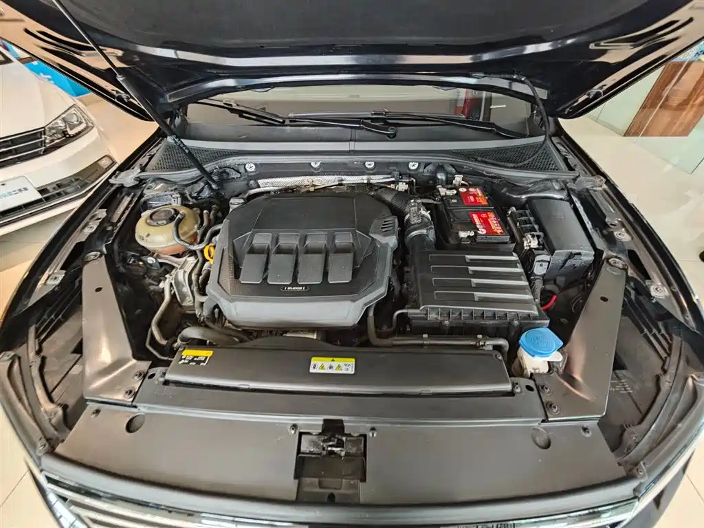 VOLKSWAGEN MAGOTAN 2020