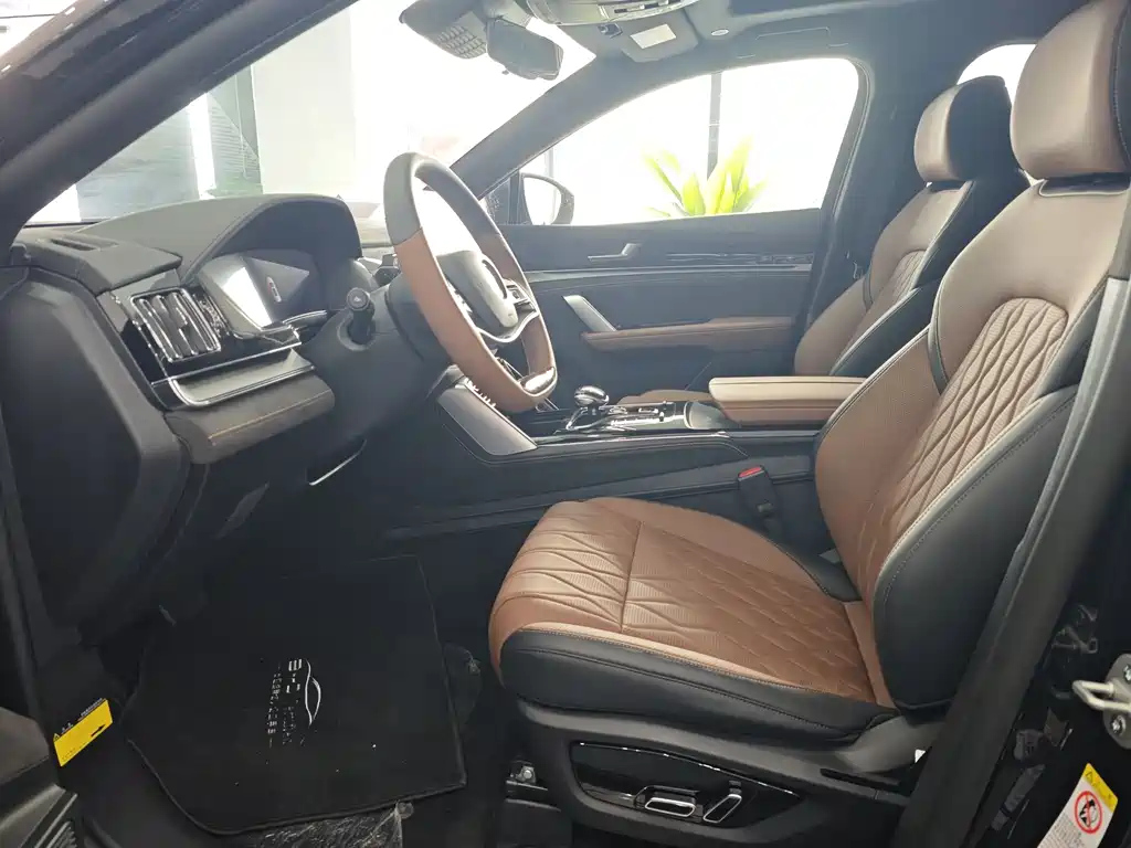 BYD TANG NEW ENERGY 2024
