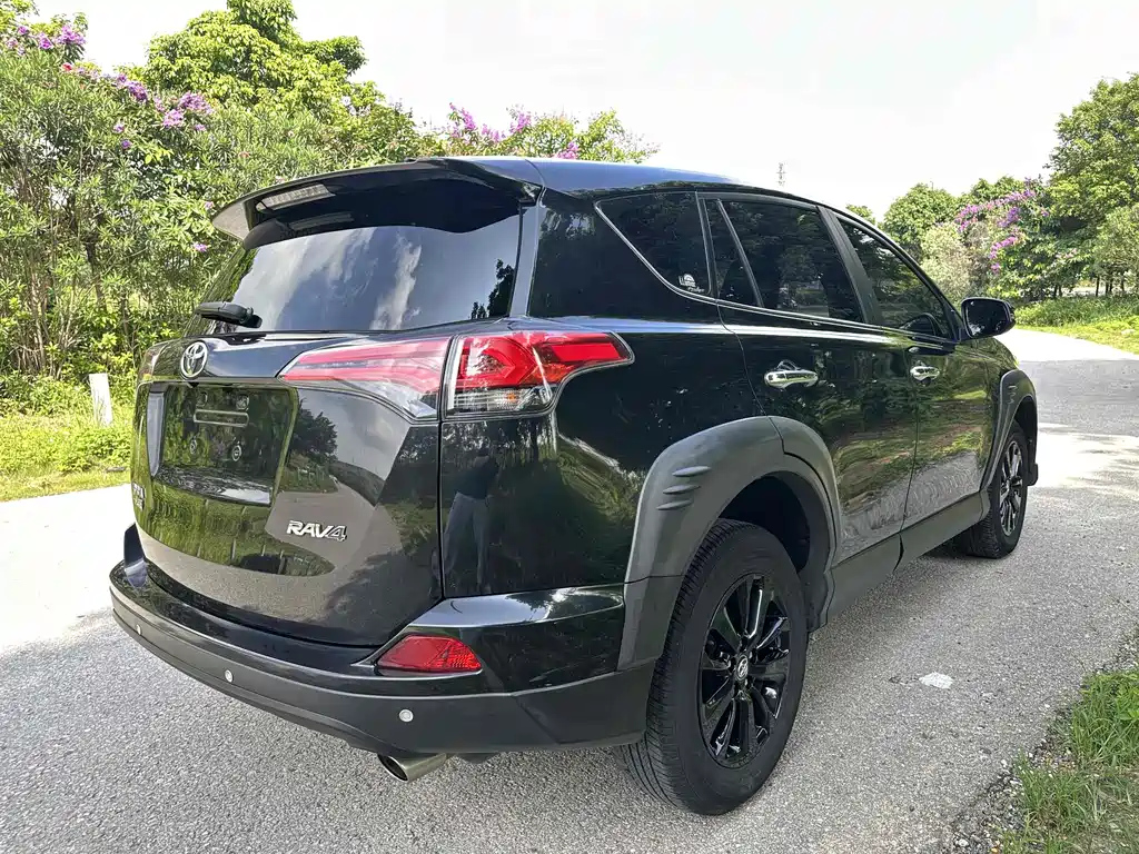 TOYOTA RAV4 RONGFANG 2019