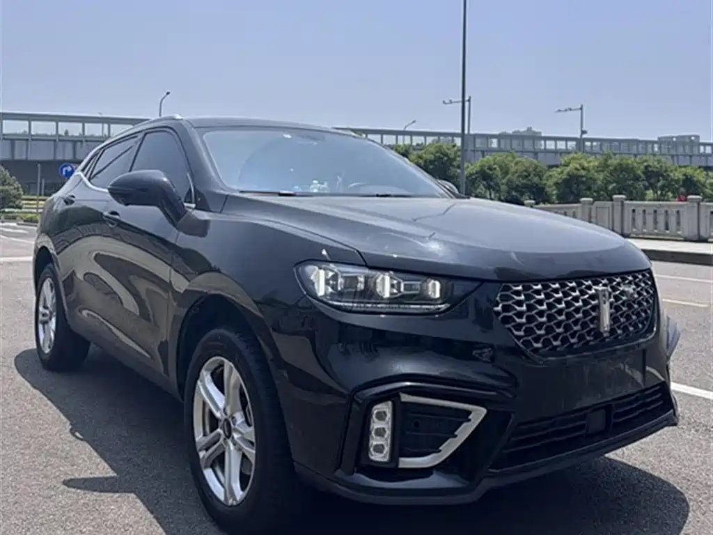 WEY VV5 2021