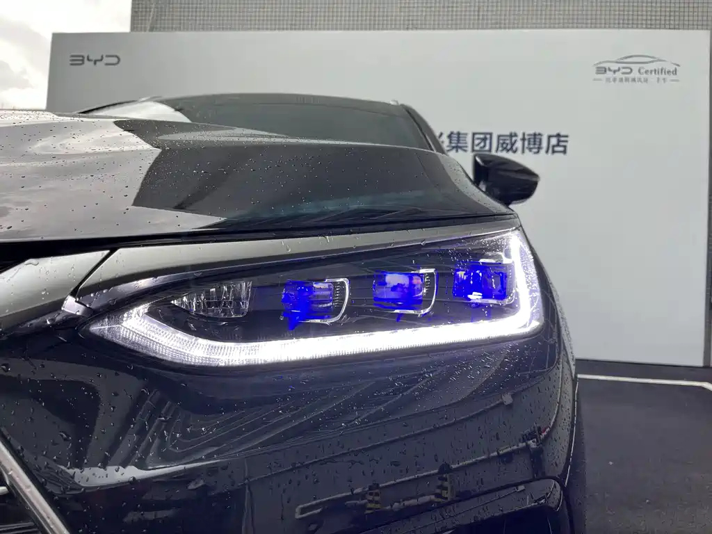 BYD TANG NEW ENERGY 2024