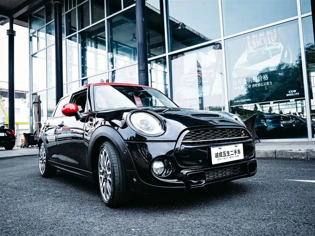 MINI OTHER 2019