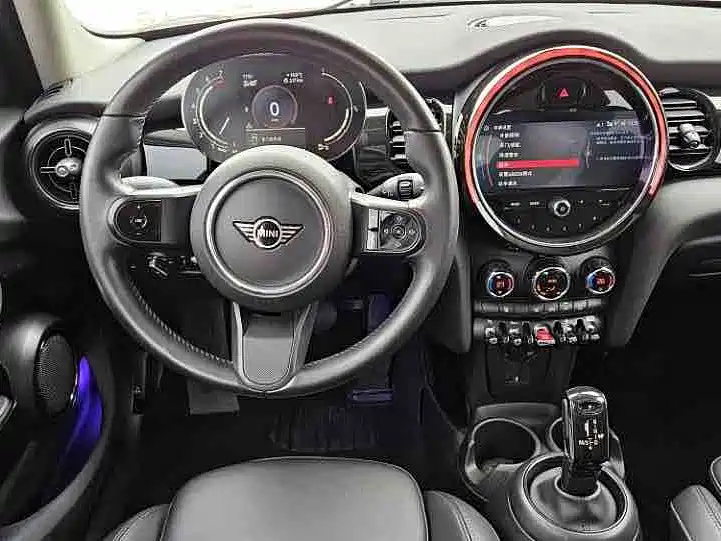 MINI OTHER 2021