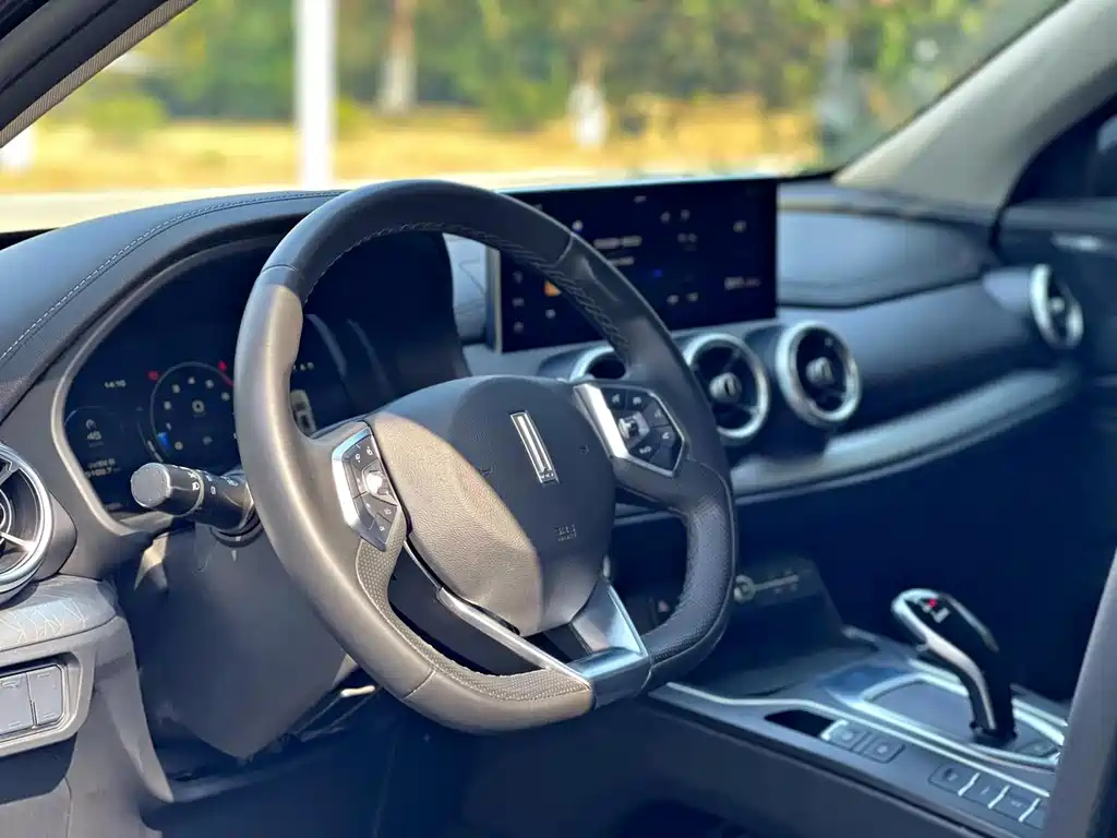 WEY VV5 2019