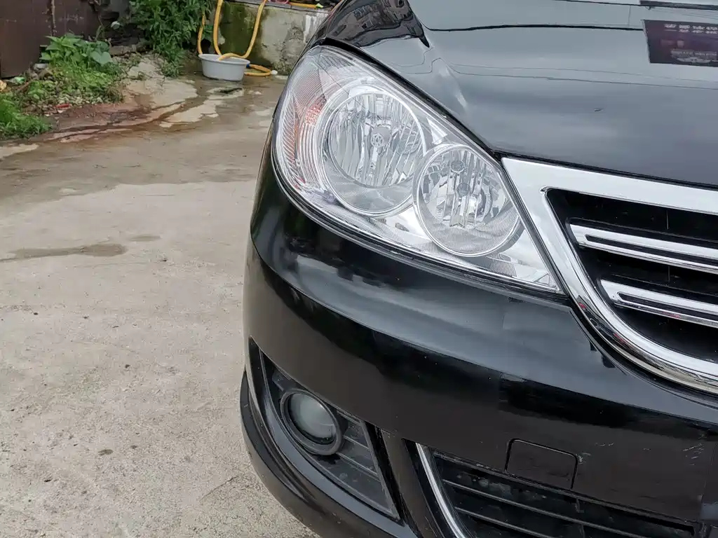 VOLKSWAGEN LAVIDA 2010