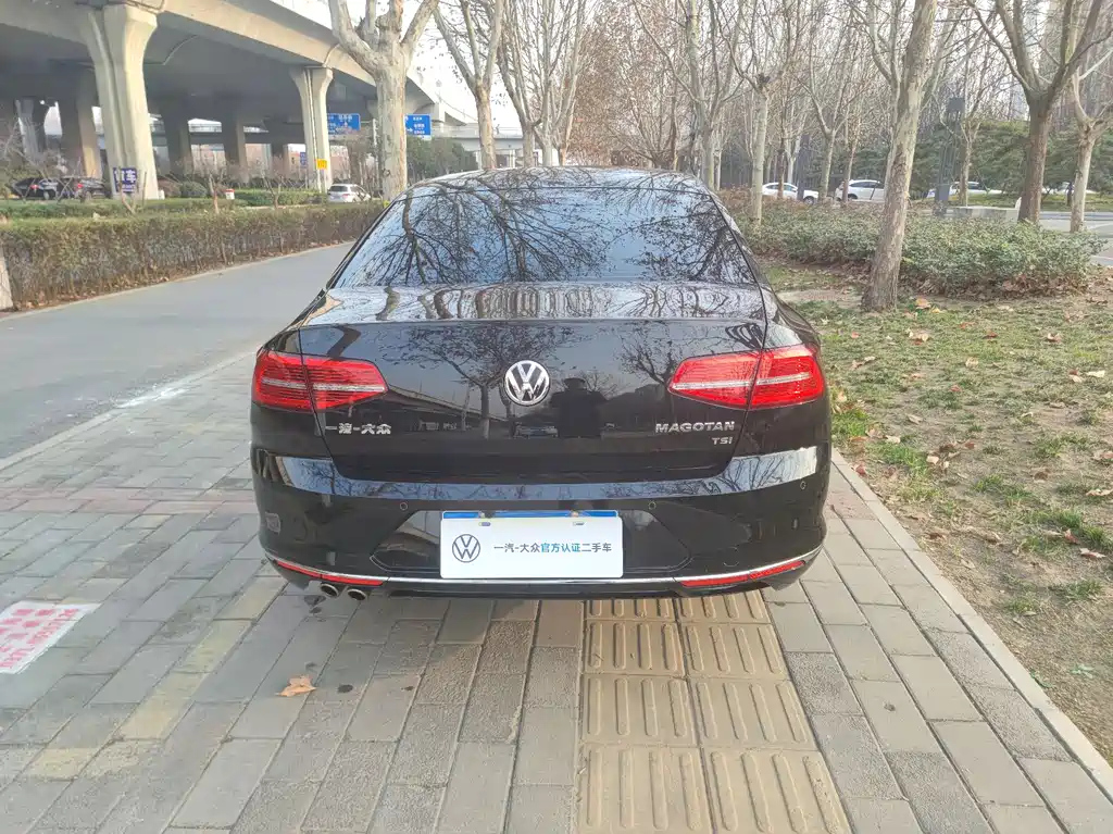 VOLKSWAGEN MAGOTAN 2020