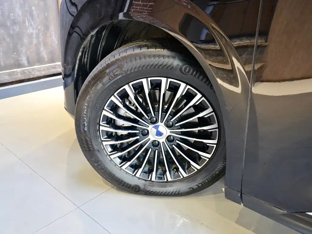 DENZA D9 2023