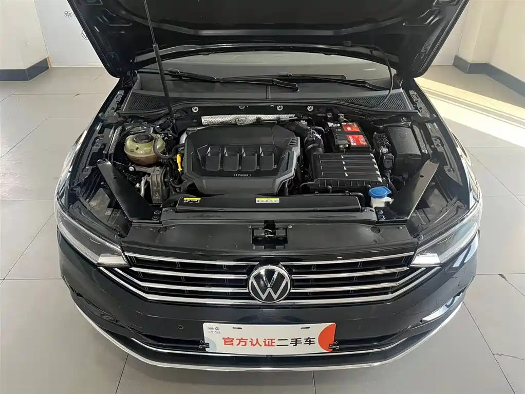 VOLKSWAGEN MAGOTAN 2021