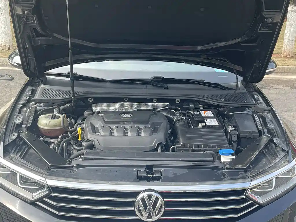 VOLKSWAGEN MAGOTAN 2020