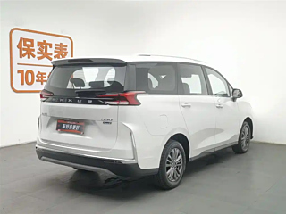 Заказать MAXUS OTHER