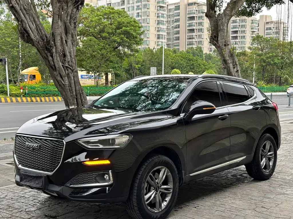 Аукционный лист HAVAL F5 2019