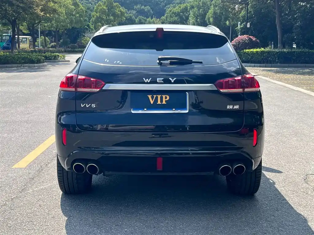 WEY VV5 2019