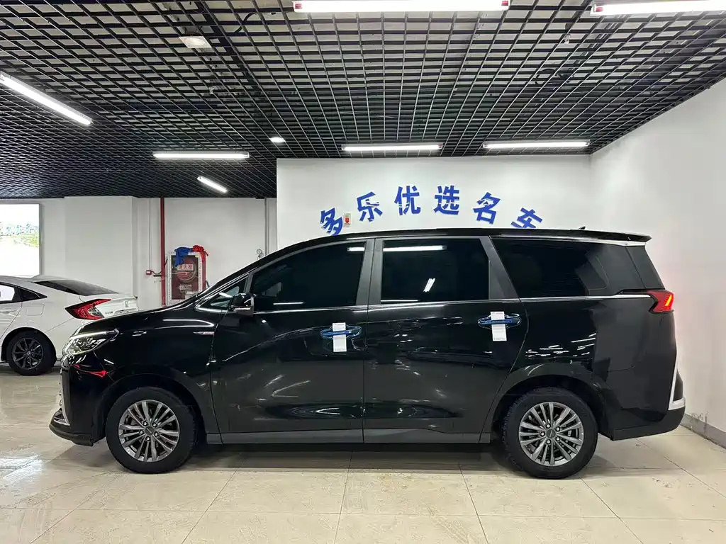 MAXUS OTHER 2023