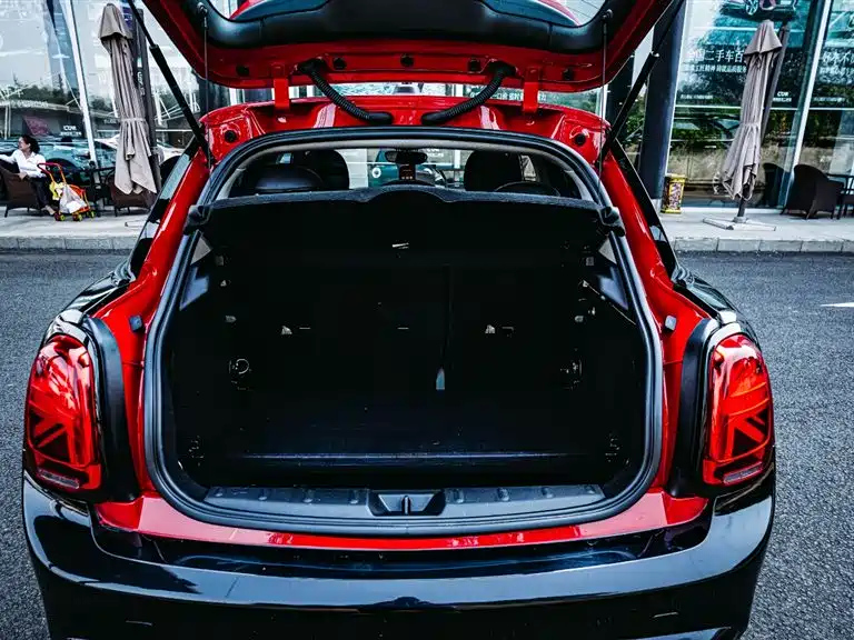MINI OTHER 2019