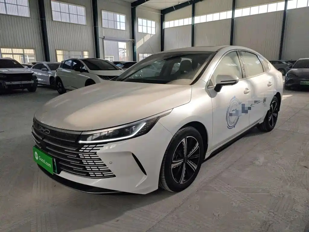 BYD DESTROYER 05 2022