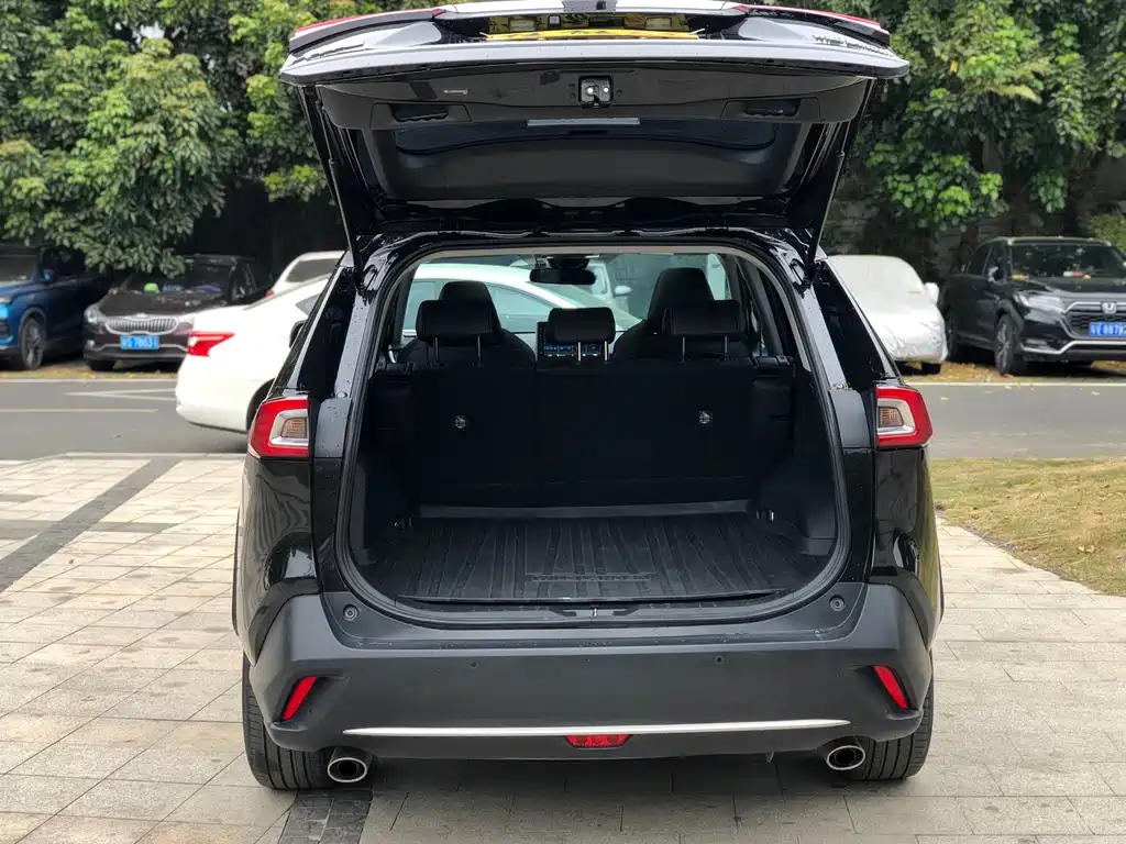 TOYOTA WILDLANDER 2022